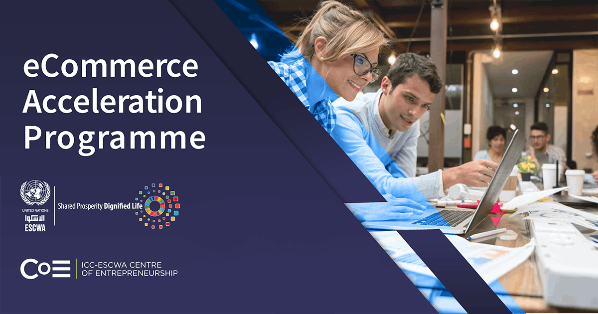 eCommerce Acceleration Programme (eCAP) image