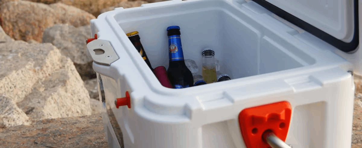 cooler containing beer bottles
